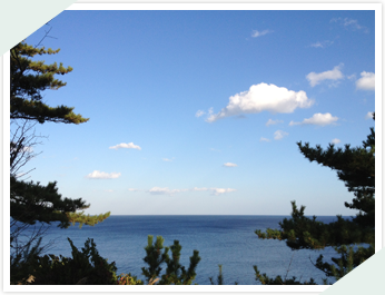 海水浴、お盆