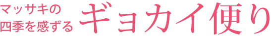 マッサキの四季を感ずるギョカイ便り