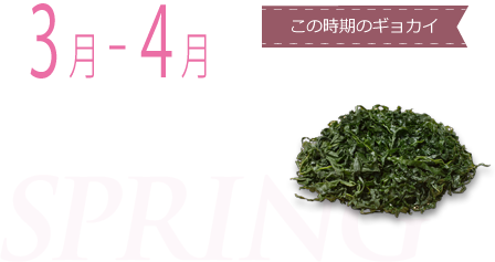3月-4月