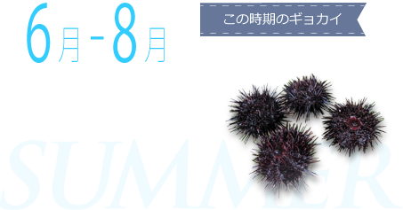 6月-8月