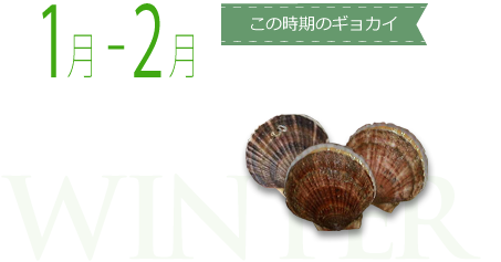1月-2月