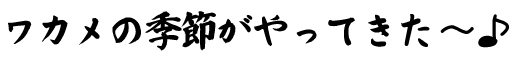 ワカメの本場でレッツしゃぶしゃぶ