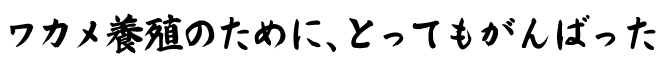 ワカメの本場でレッツしゃぶしゃぶ